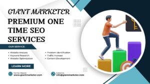 One Time SEO Services
